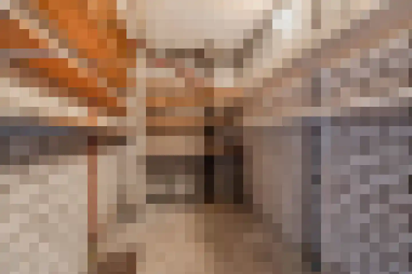 Nijlânsdyk 189 b Leeuwarden thumbnail 30