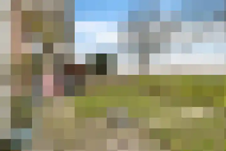 Nijlânsdyk 189 Leeuwarden thumbnail 28