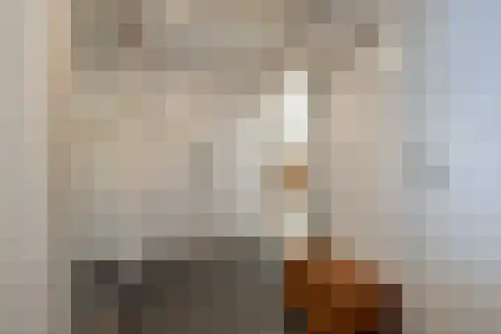 Nijlânsdyk 203 b Leeuwarden thumbnail 12