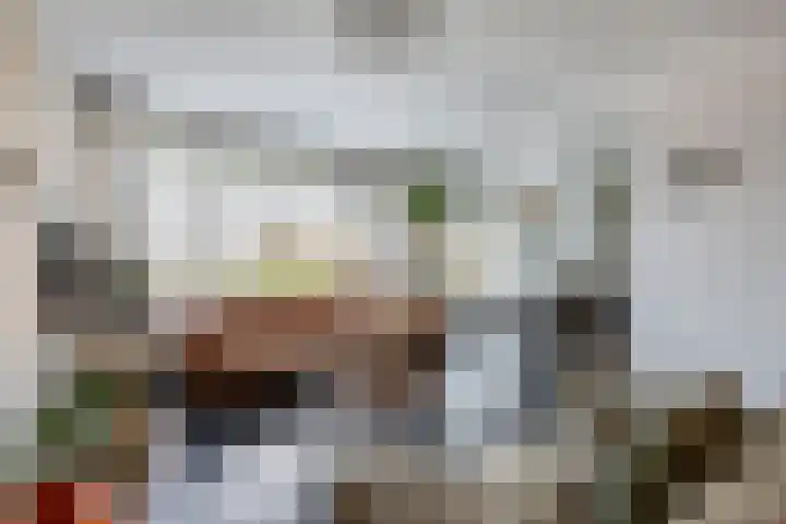 Nijlânsdyk 203 b Leeuwarden thumbnail 19