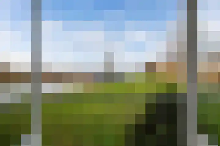 Nijlânsdyk 203 b Leeuwarden thumbnail 23