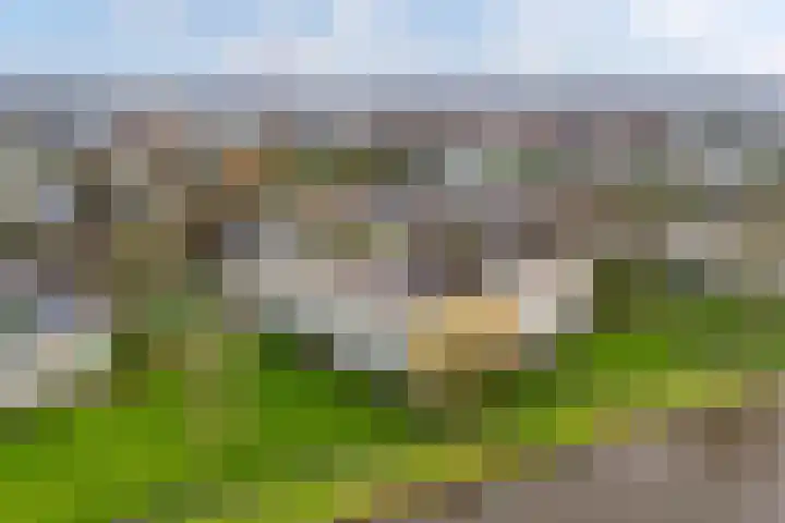 Nijlânsdyk 203 b Leeuwarden thumbnail 6