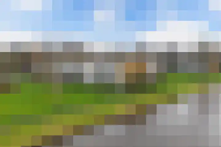 Nijlânsdyk 203 b Leeuwarden thumbnail 7