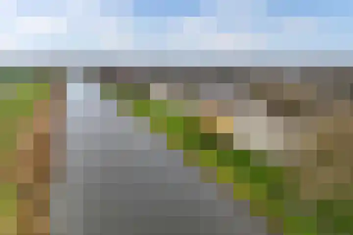 Nijlânsdyk 203 b Leeuwarden thumbnail 8
