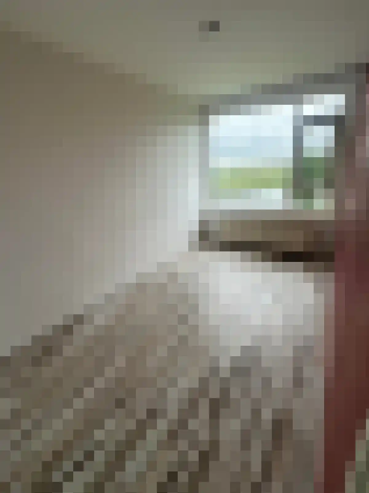 Nijlânsdyk 205 d Leeuwarden thumbnail 4