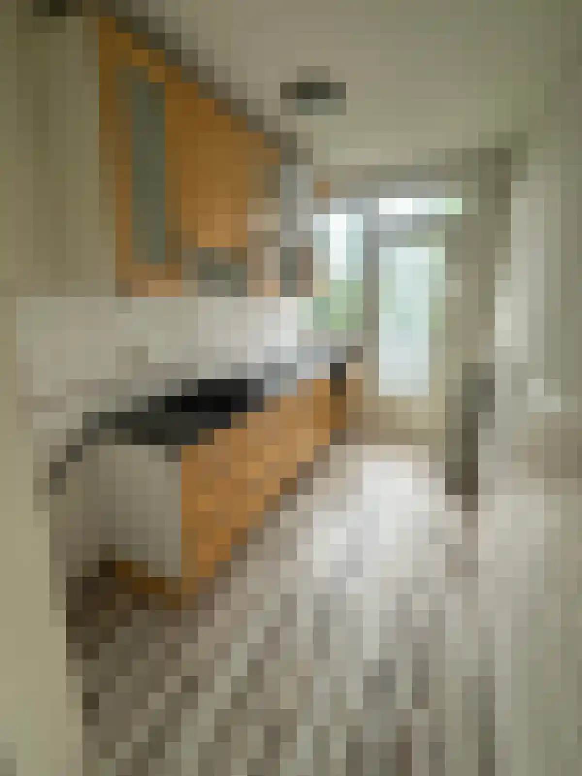 Nijlânsdyk 205 d Leeuwarden thumbnail 6