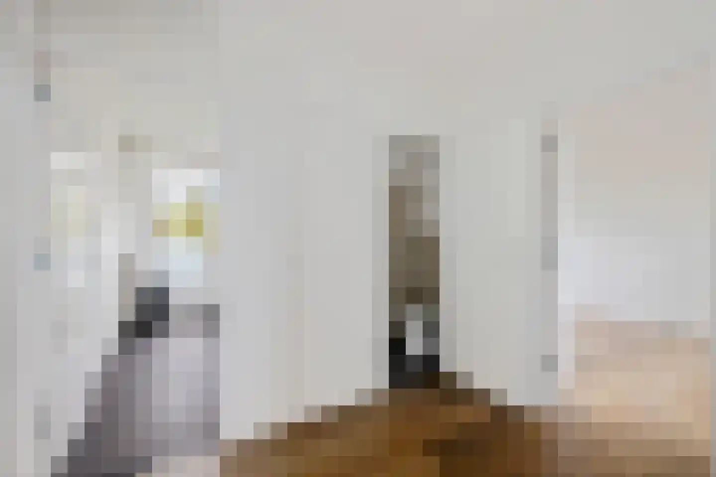 Nijlânsdyk 207 d Leeuwarden thumbnail 14