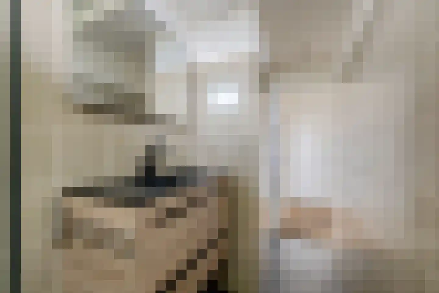 Nijlânsdyk 207 d Leeuwarden thumbnail 17