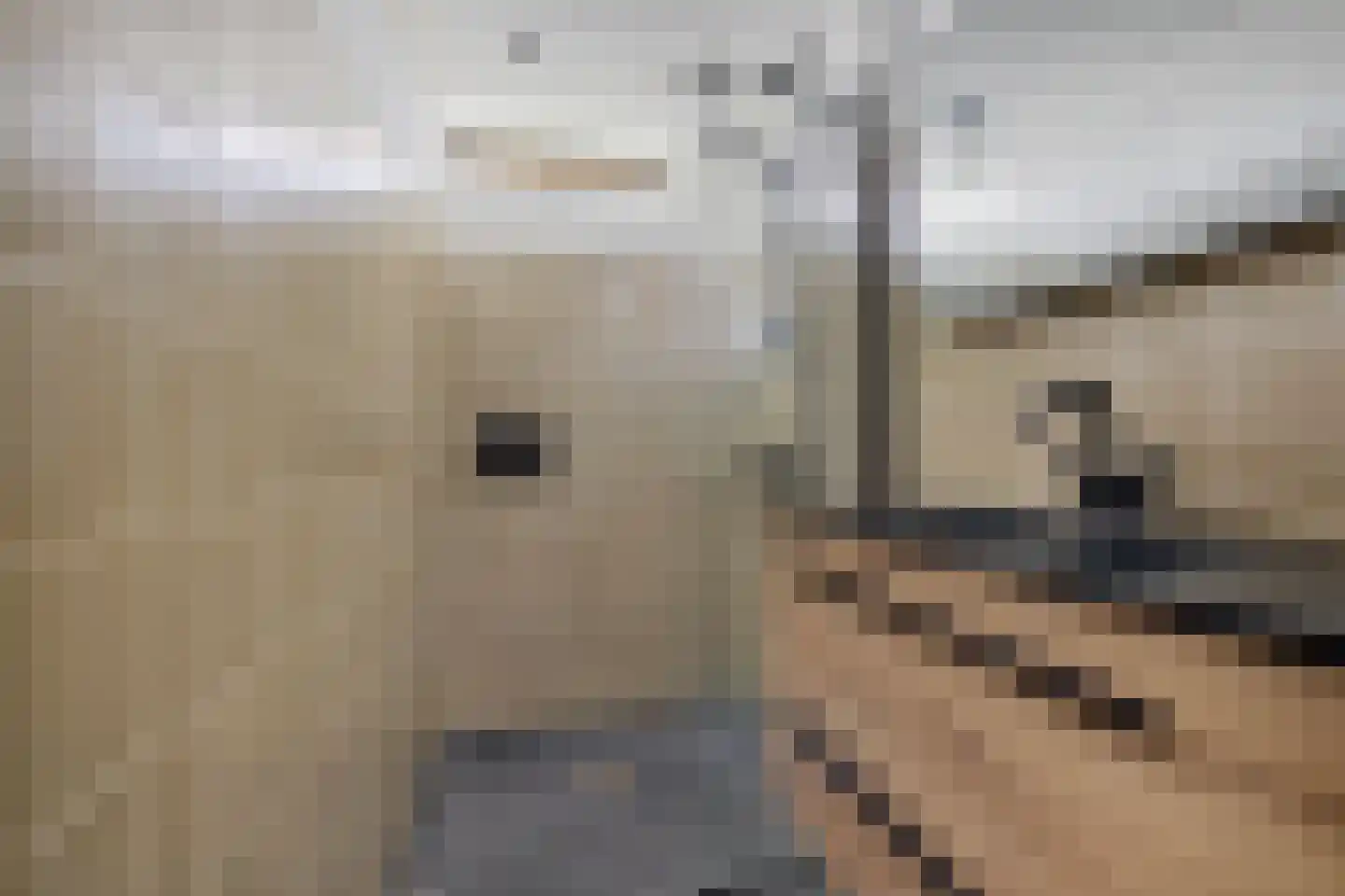 Nijlânsdyk 207 d Leeuwarden thumbnail 19
