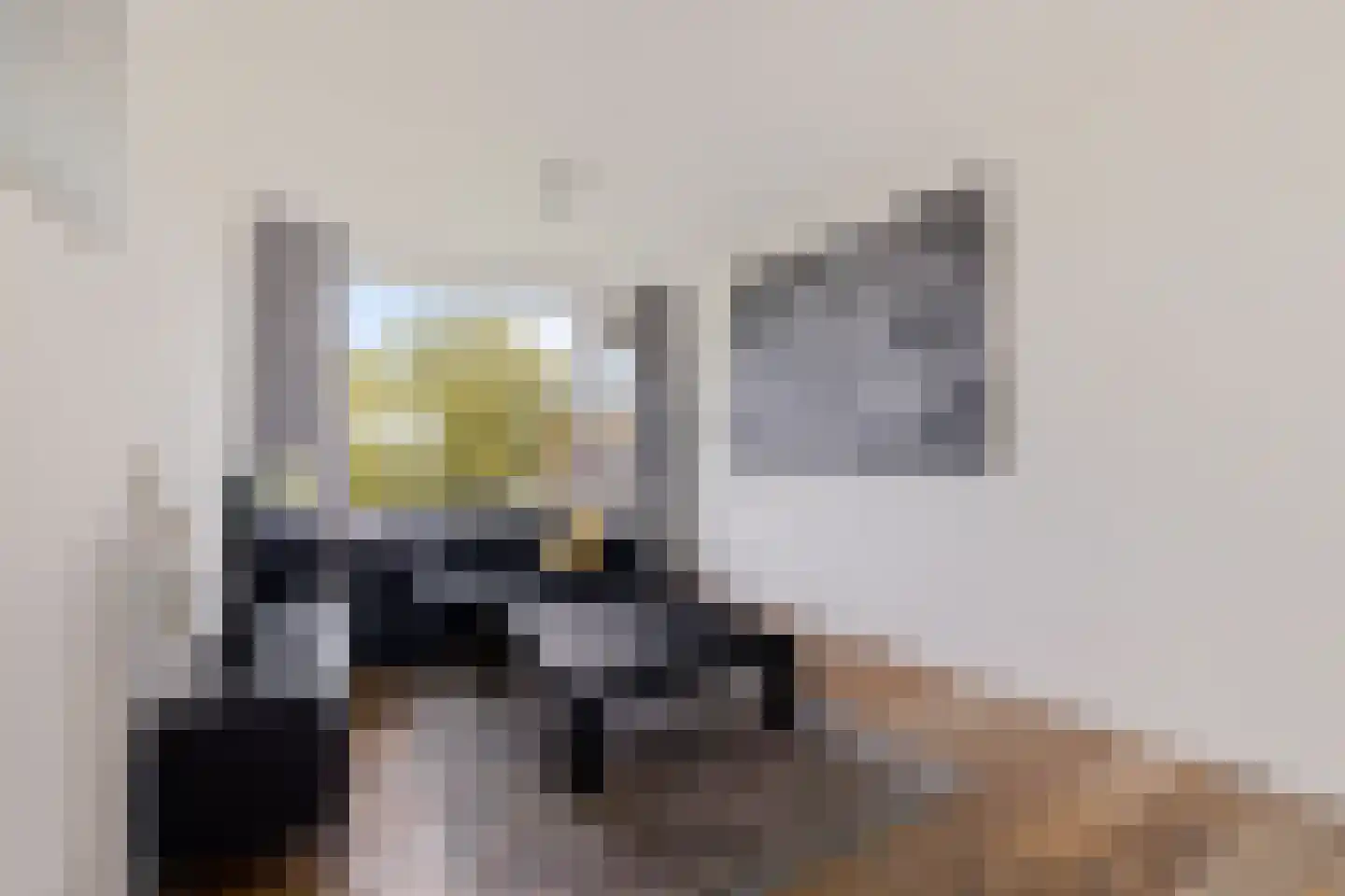 Nijlânsdyk 207 d Leeuwarden thumbnail 8