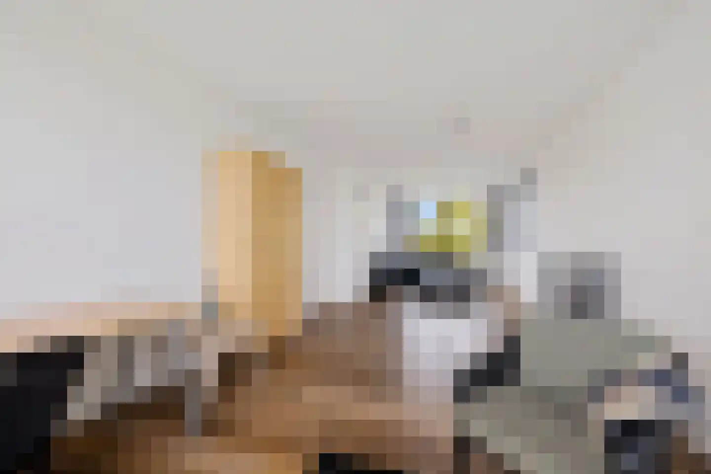 Nijlânsdyk 207 d Leeuwarden thumbnail 9