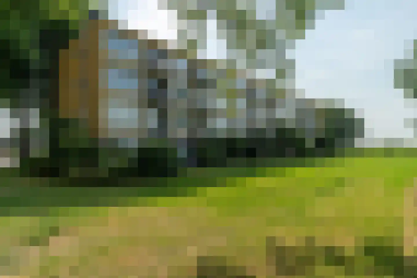 Nijlânsdyk 213 Leeuwarden thumbnail 25