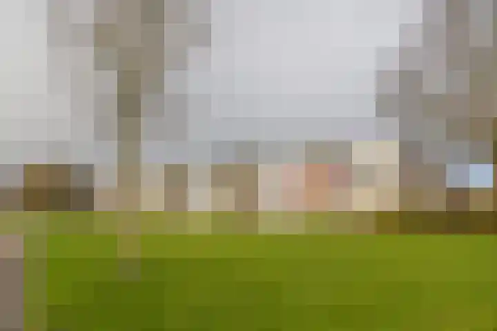 Nijlânsdyk 217 b Leeuwarden thumbnail 7