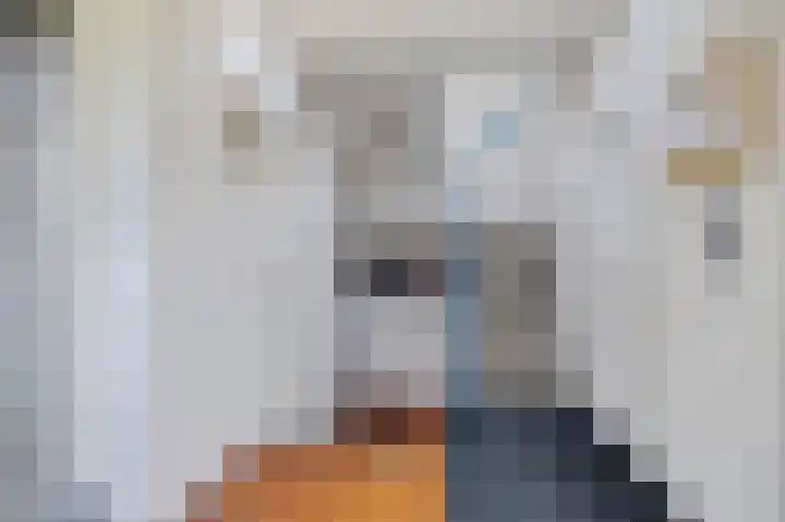 Nijlânsdyk 217 c Leeuwarden thumbnail 29