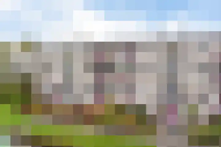 Nijlânsdyk 217 c Leeuwarden thumbnail 32