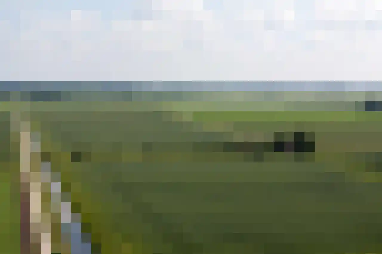 Nijlânsdyk 5 Bitgummole