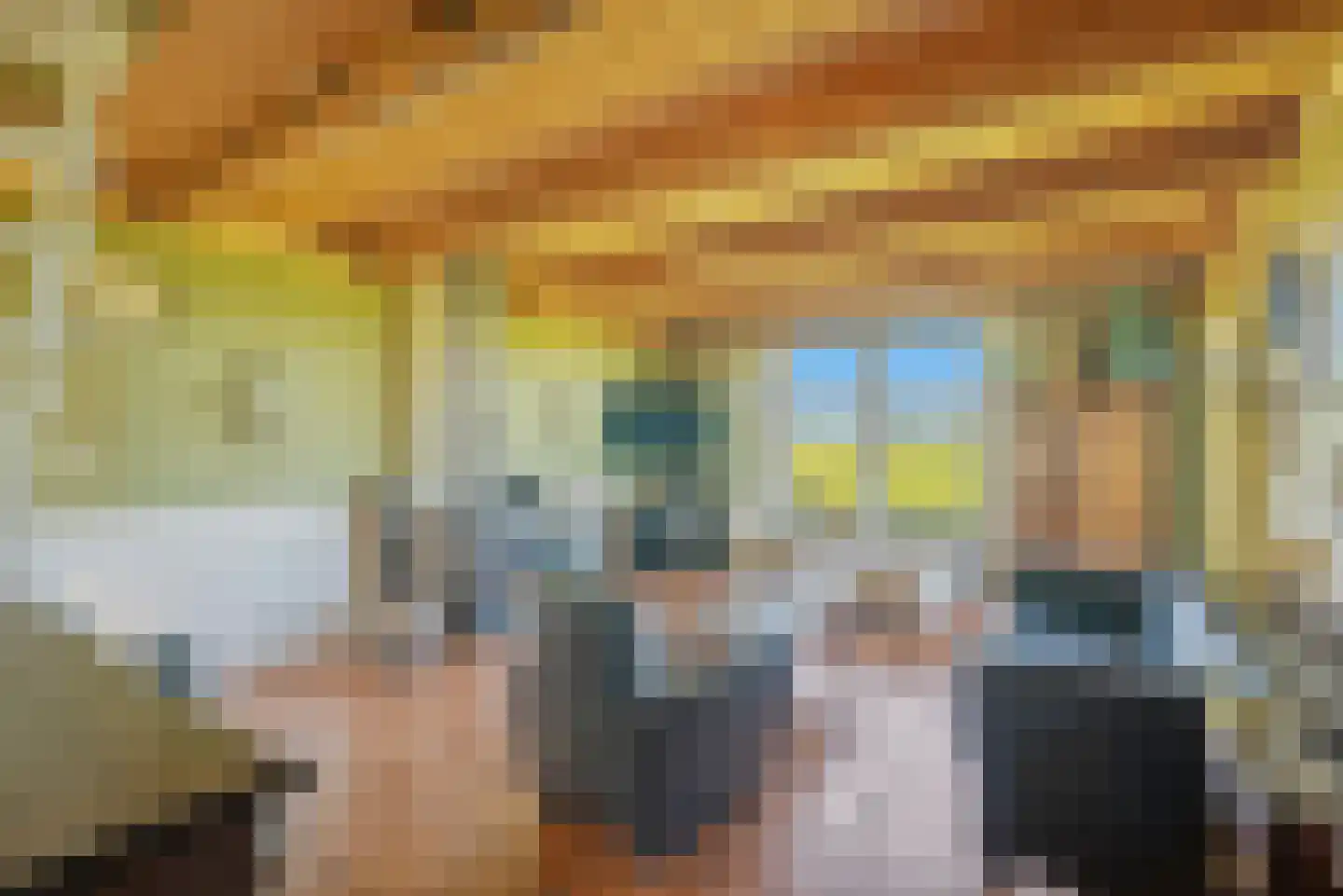 Nijlânsdyk 5 Bitgummole thumbnail 11