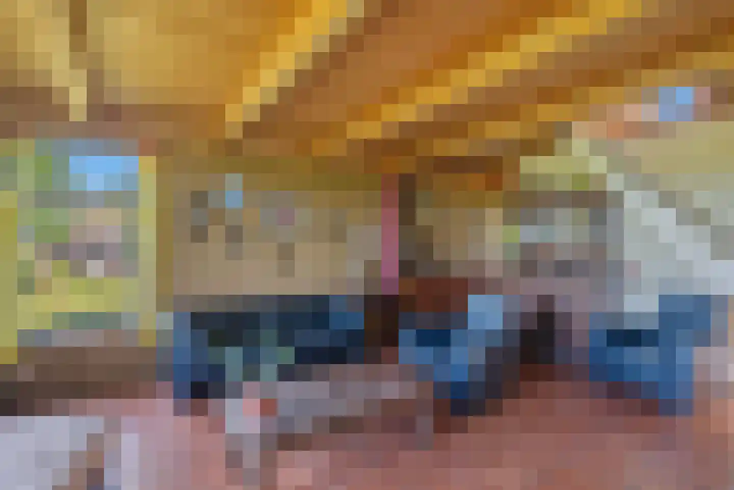 Nijlânsdyk 5 Bitgummole thumbnail 12