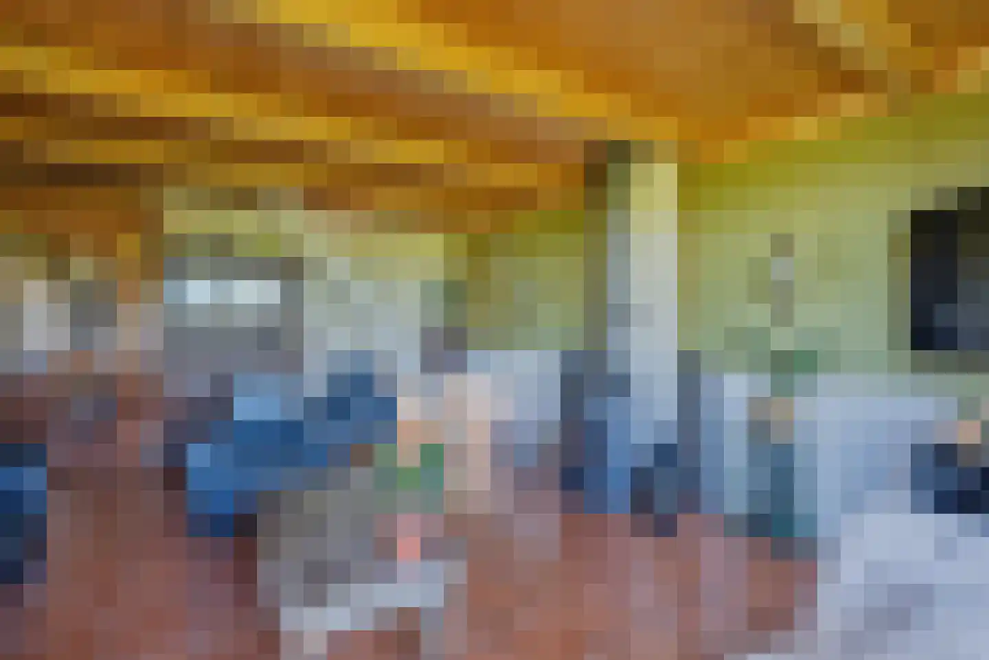 Nijlânsdyk 5 Bitgummole thumbnail 13