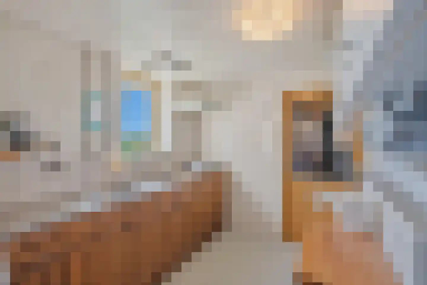 Nijlânsdyk 5 Bitgummole thumbnail 15