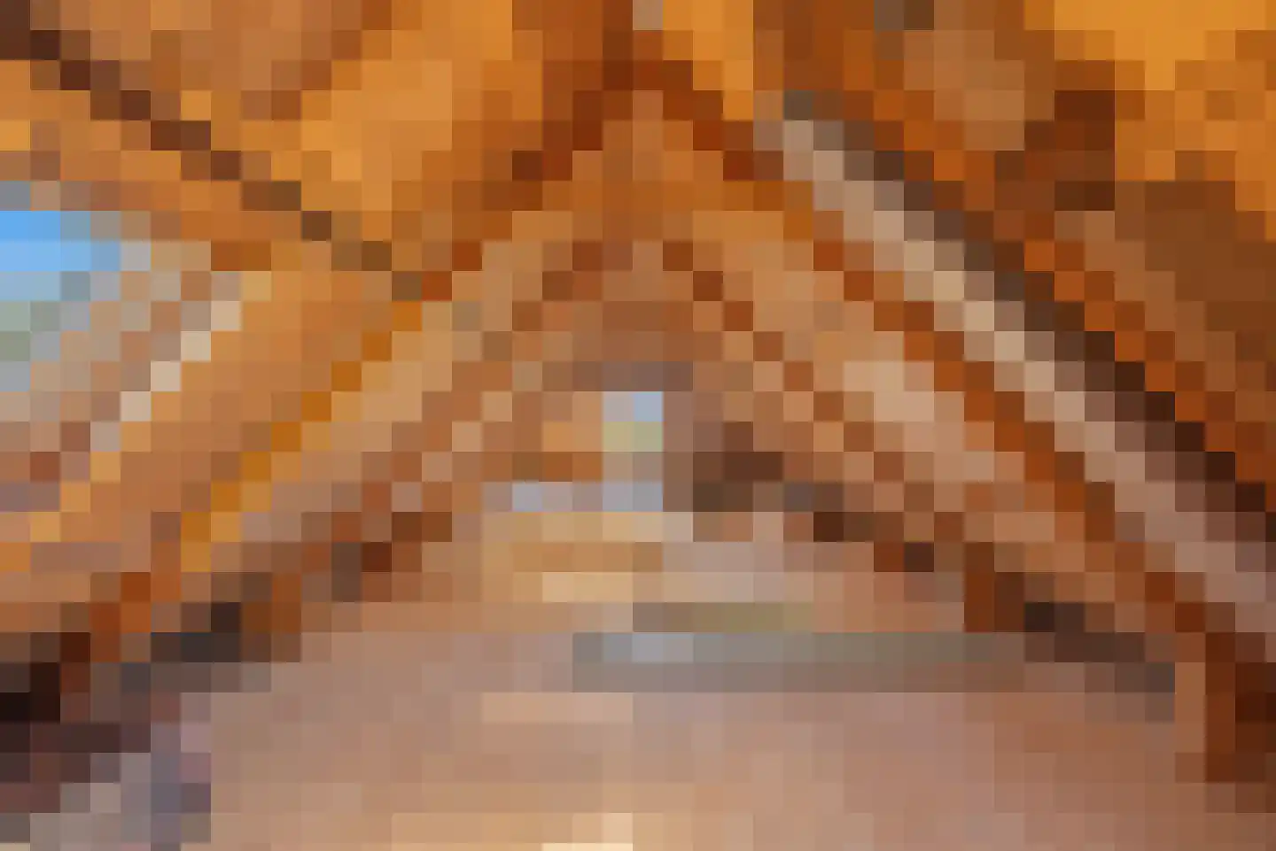 Nijlânsdyk 5 Bitgummole thumbnail 18