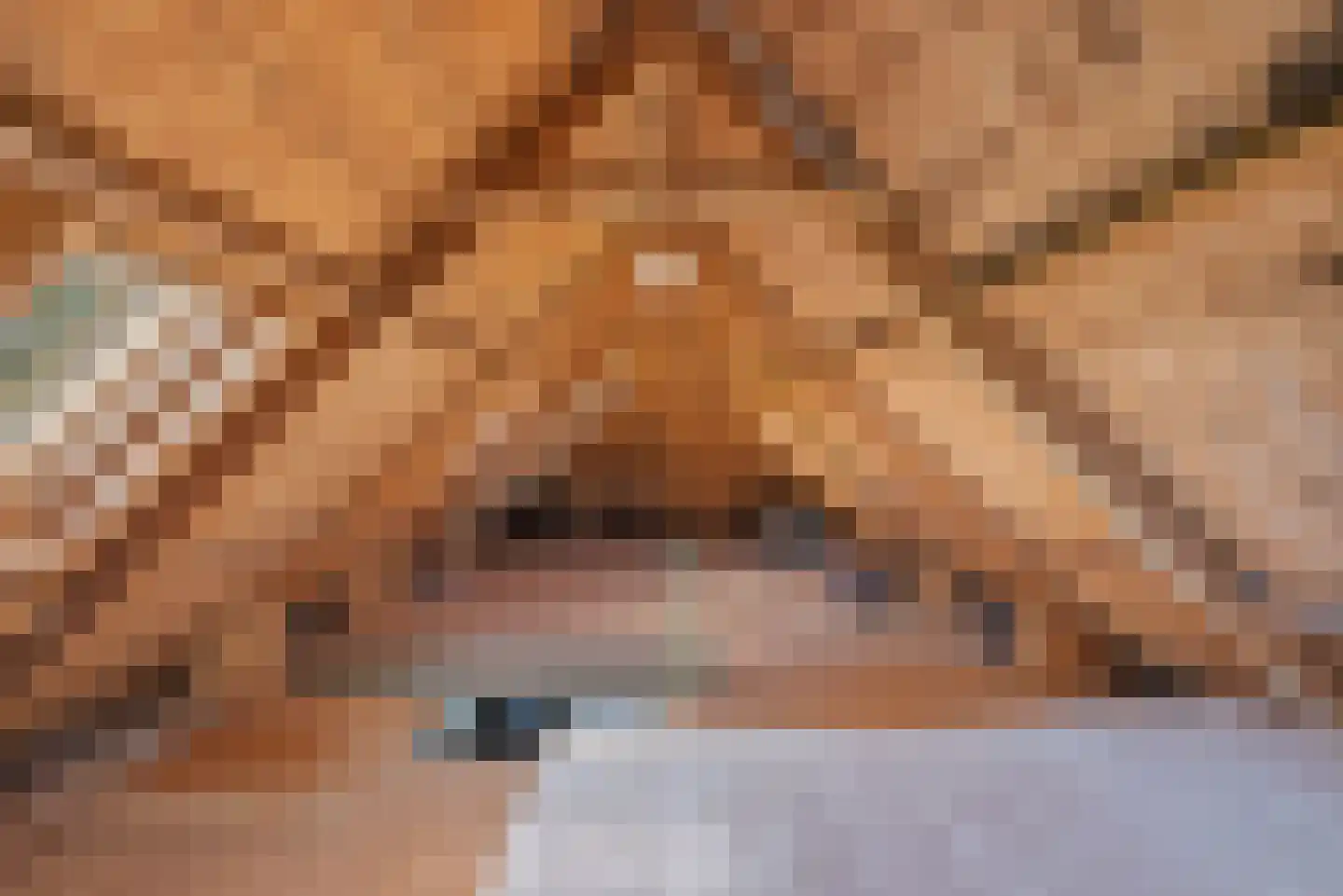 Nijlânsdyk 5 Bitgummole thumbnail 19