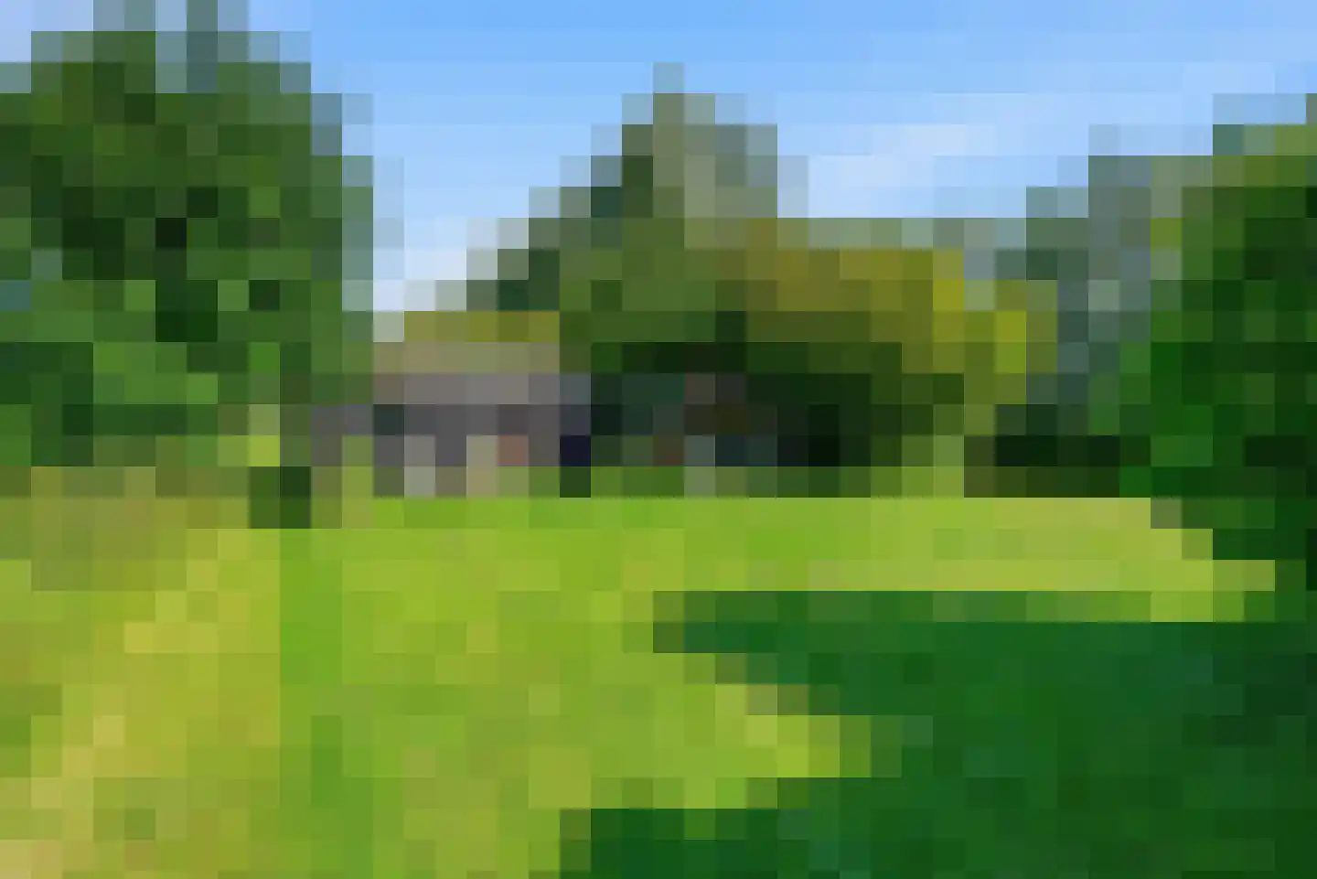 Nijlânsdyk 5 Bitgummole thumbnail 22