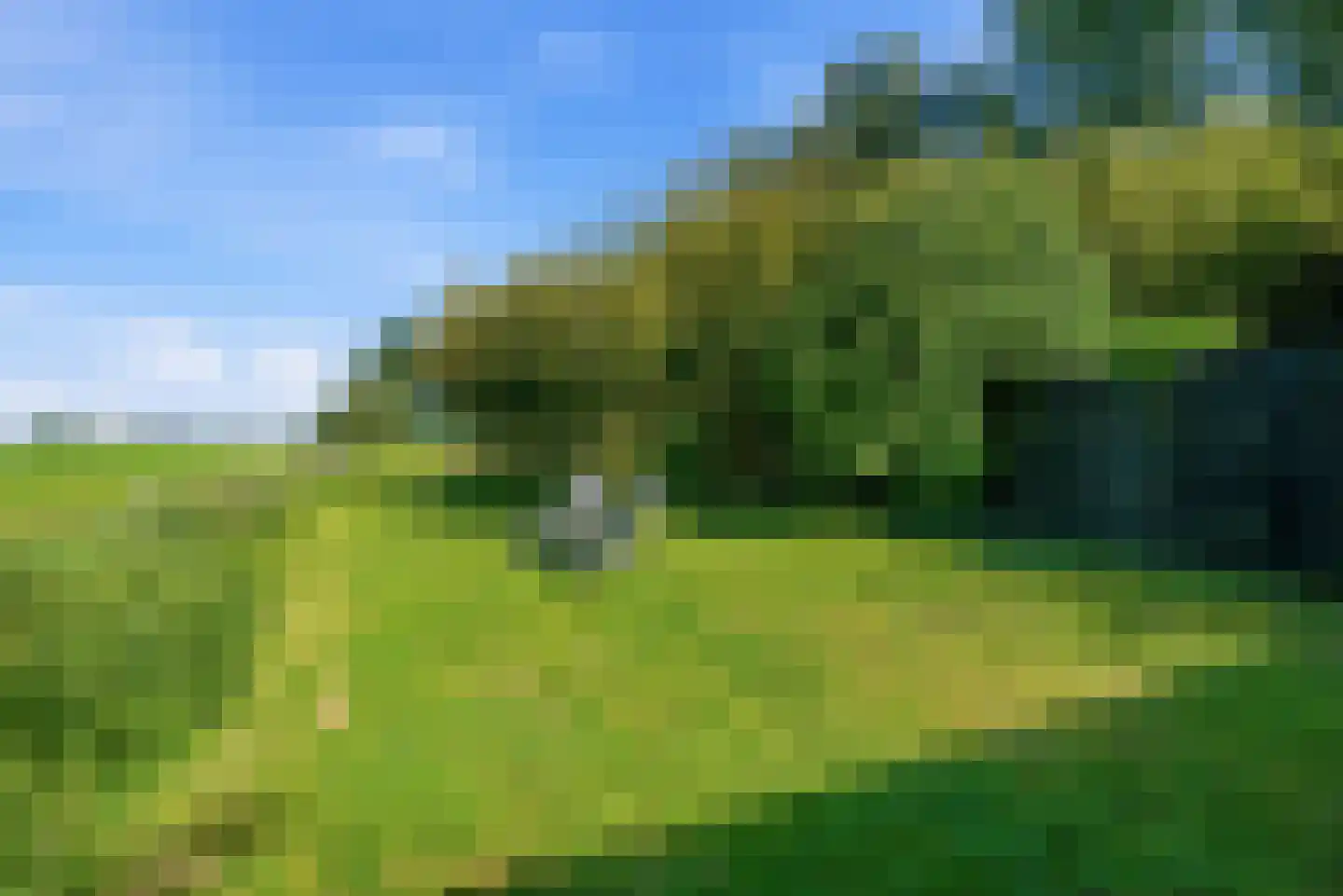 Nijlânsdyk 5 Bitgummole thumbnail 23