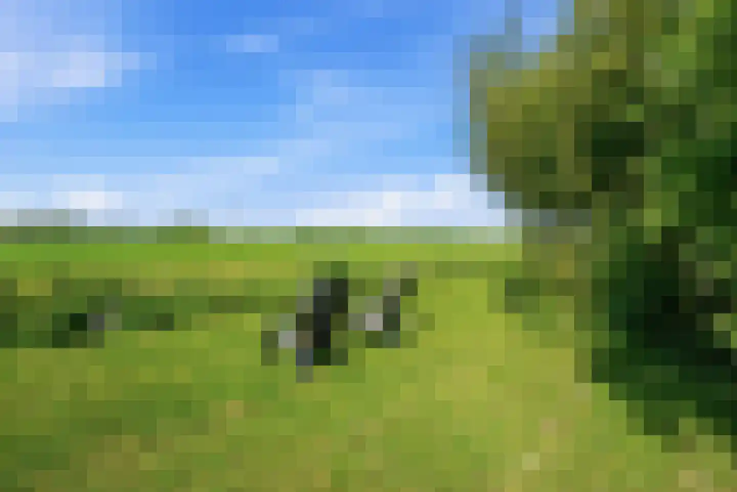Nijlânsdyk 5 Bitgummole thumbnail 24