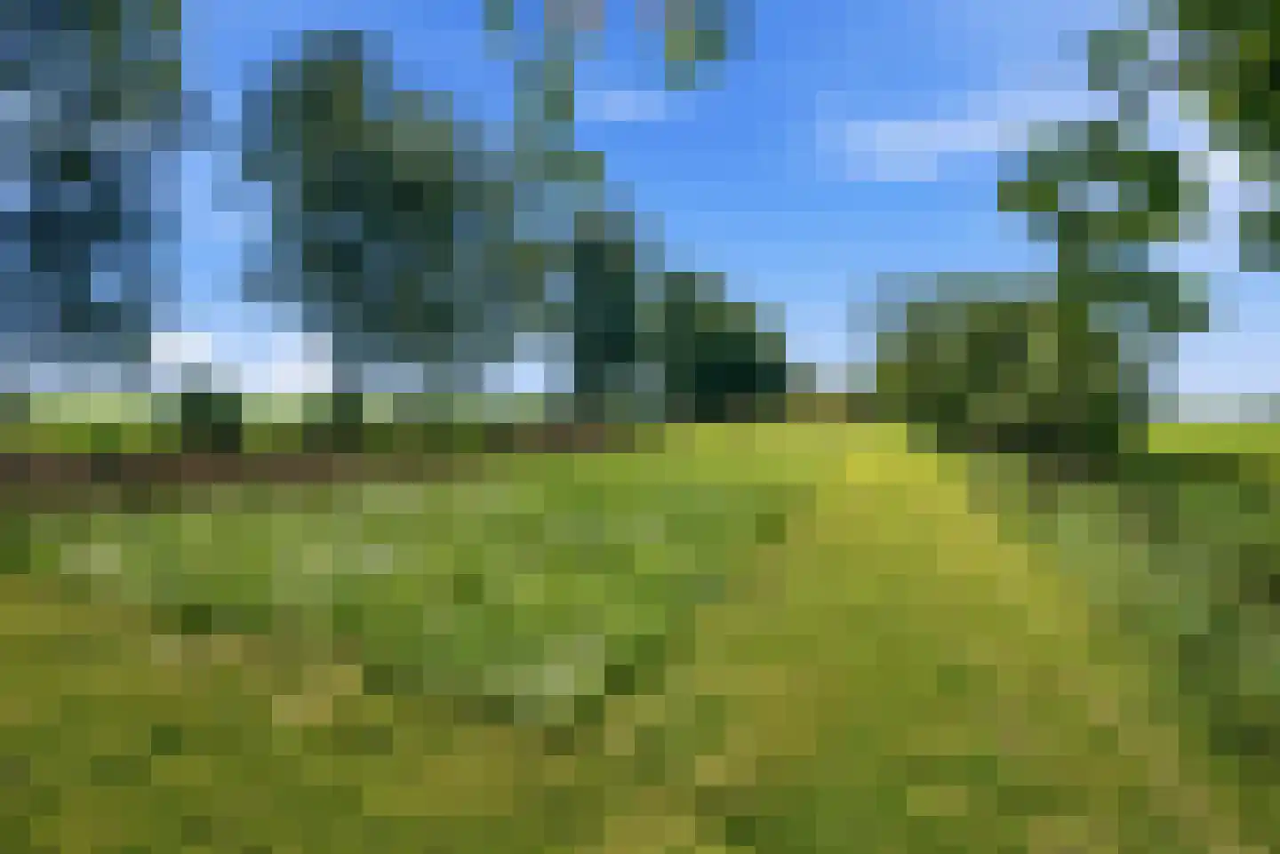 Nijlânsdyk 5 Bitgummole thumbnail 25