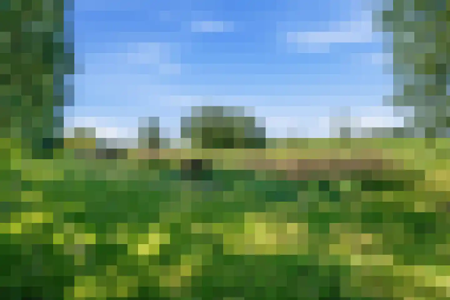 Nijlânsdyk 5 Bitgummole thumbnail 26