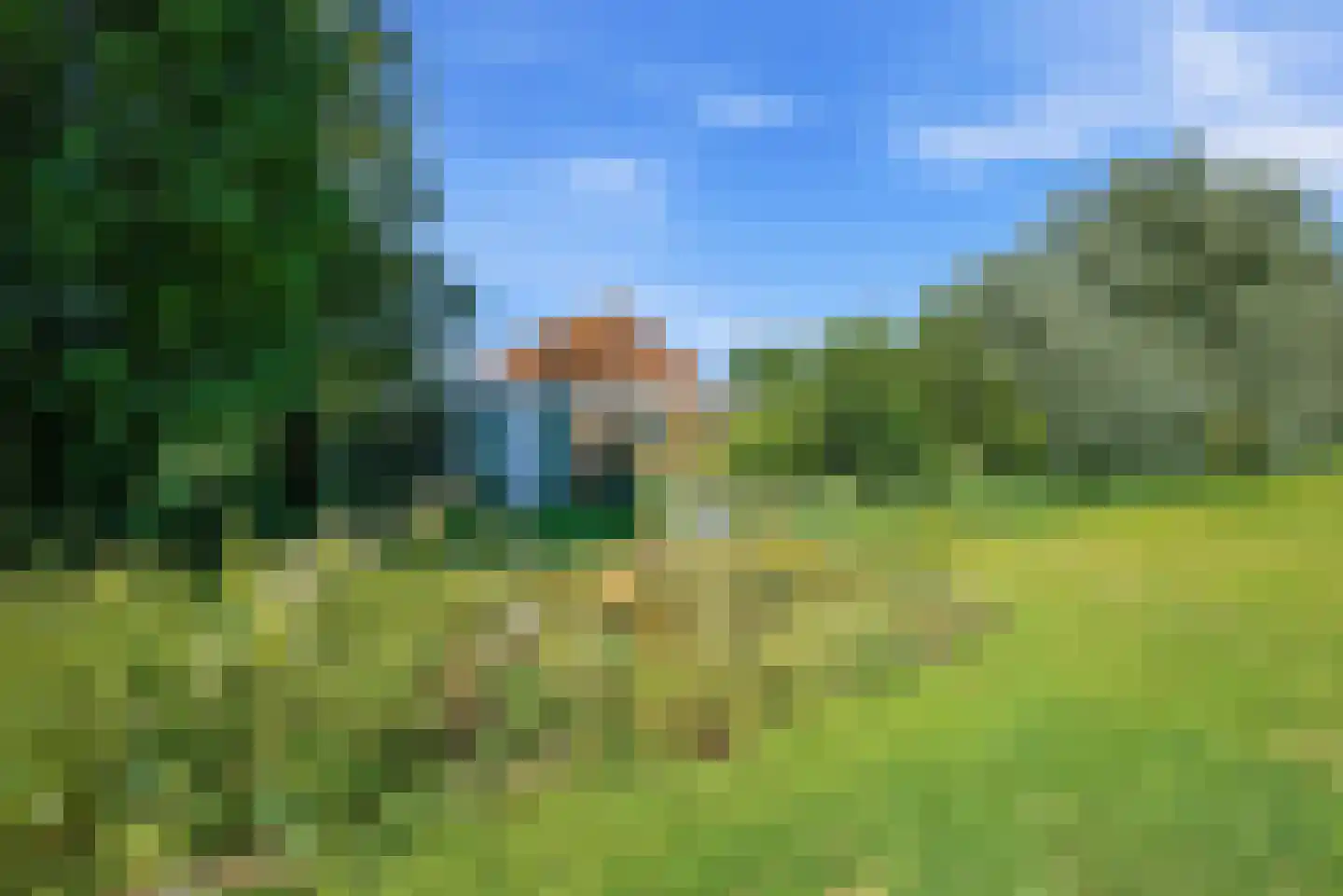Nijlânsdyk 5 Bitgummole thumbnail 4
