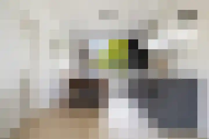 Nijlânsdyk 81 b Leeuwarden thumbnail 17
