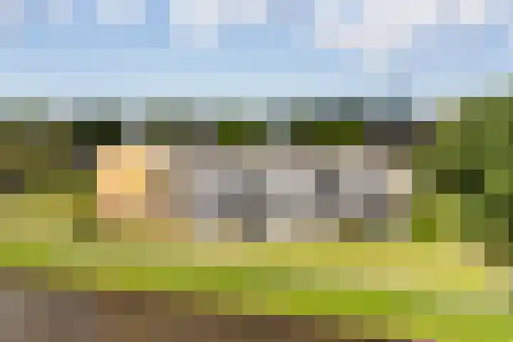 Nijlânsdyk 81 b Leeuwarden thumbnail 49
