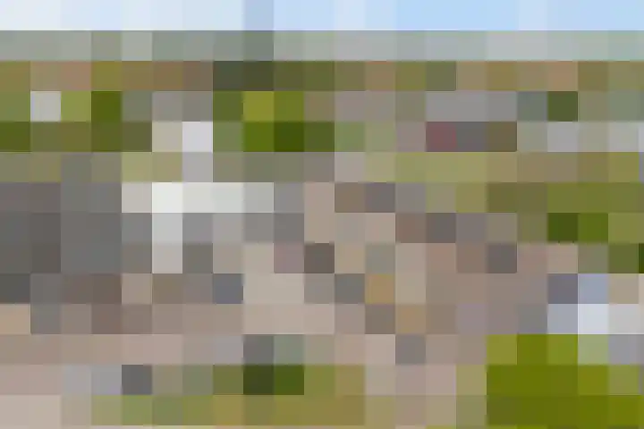 Nijlânsdyk 81 b Leeuwarden thumbnail 54