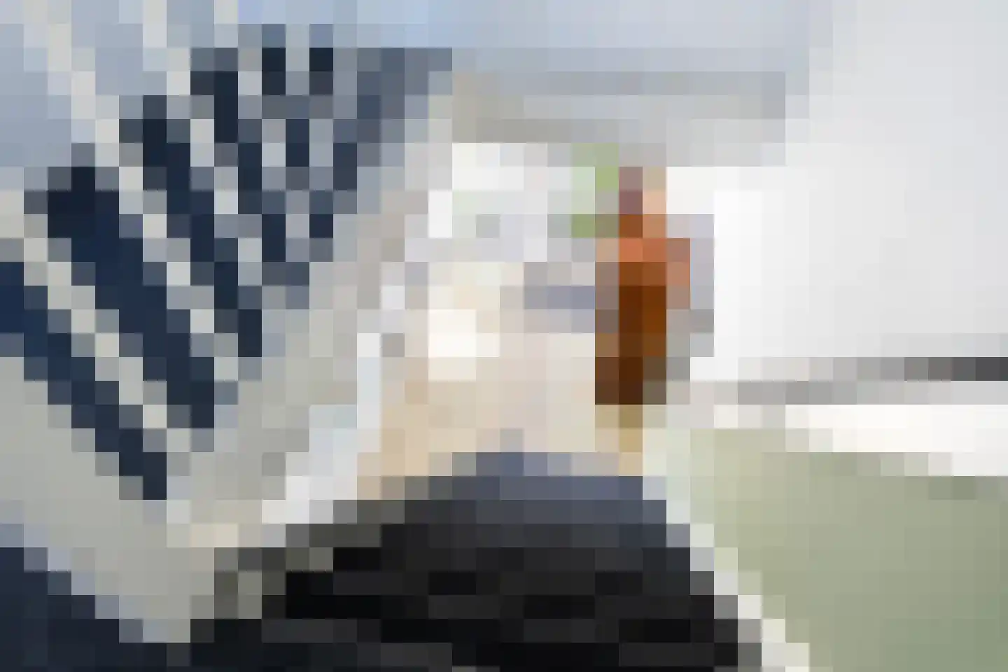 Nijlânsdyk 82 Leeuwarden thumbnail 23