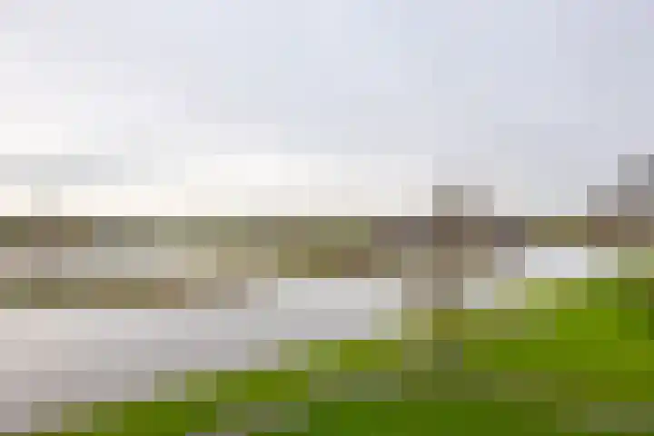 Nijlânsdyk 85 d Leeuwarden thumbnail 34