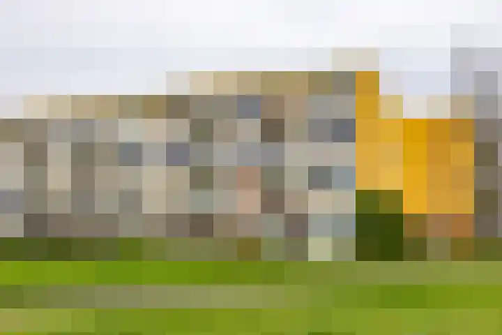 Nijlânsdyk 85 d Leeuwarden thumbnail 35