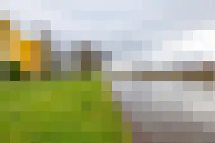 Nijlânsdyk 85 d Leeuwarden thumbnail 37