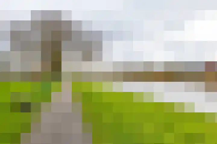 Nijlânsdyk 85 d Leeuwarden thumbnail 38