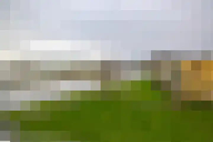 Nijlânsdyk 85 d Leeuwarden thumbnail 4
