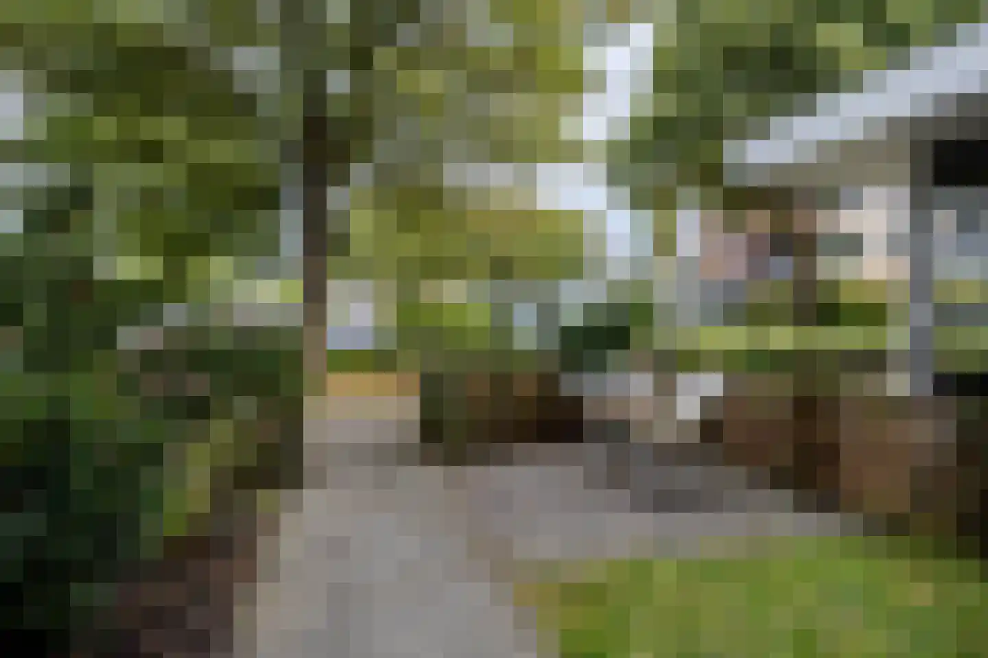 Nijlânsdyk 89 Leeuwarden thumbnail 10
