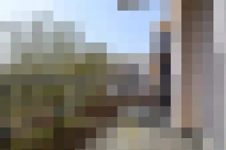 Nijlânsdyk 91 c Leeuwarden thumbnail 17