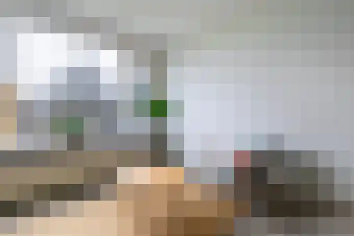 Nijlânsdyk 91 c Leeuwarden thumbnail 20