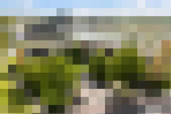 Nijlânsdyk 91 c Leeuwarden thumbnail 33
