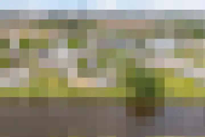 Nijlânsdyk 91 c Leeuwarden thumbnail 34