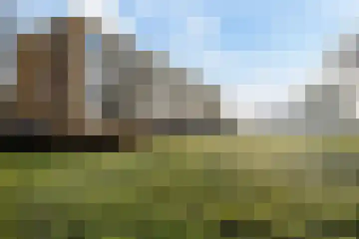 Nijlânsdyk 91 c Leeuwarden thumbnail 36