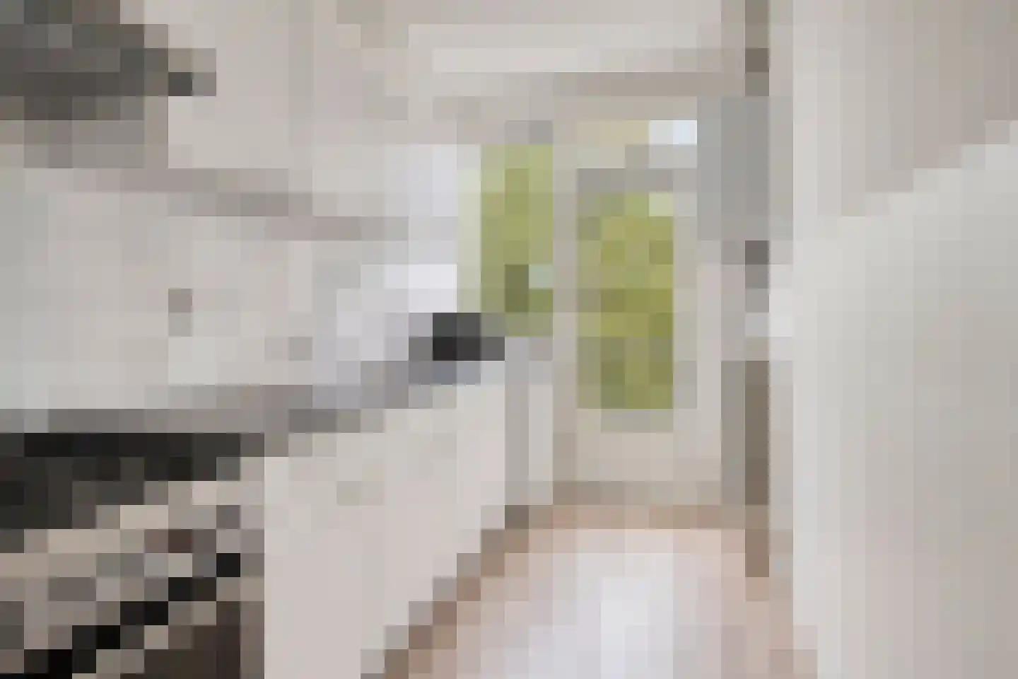 Nijlânsdyk 93 d Leeuwarden thumbnail 4