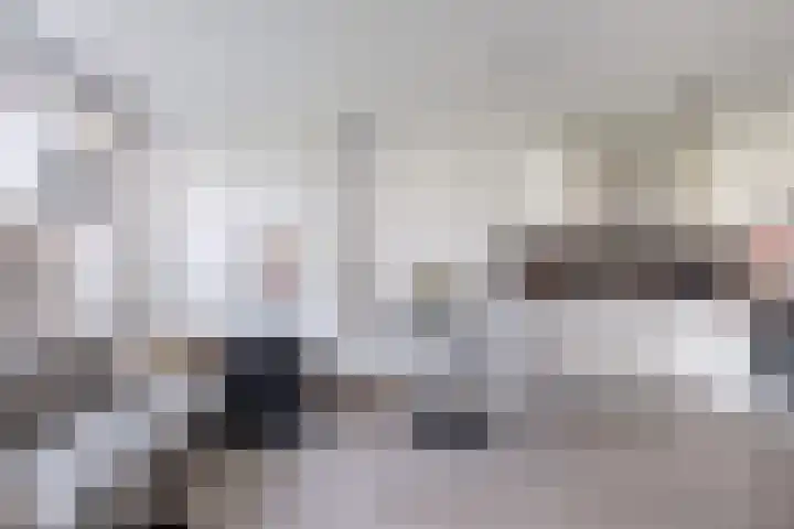 Nijlânsdyk 97 Leeuwarden thumbnail 13