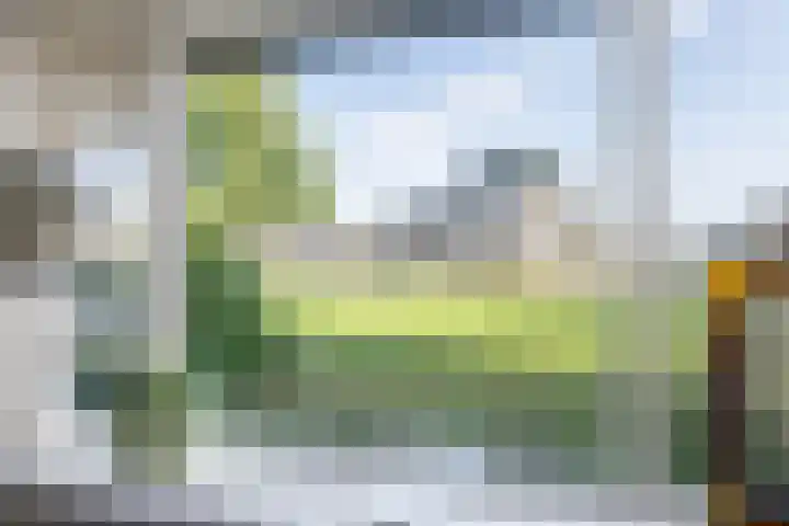 Nijlânsdyk 97 Leeuwarden thumbnail 15